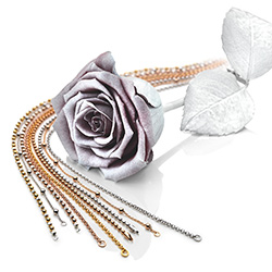 Obrázek č. 1 k produktu: Stříbrný řetízek Hot Diamonds Emozioni Bead Silver Rose 61