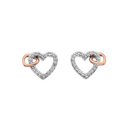 Stříbrné náušnice Hot Diamonds Flora RG DE606