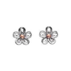 Náušnice Hot Diamonds Forget me not RG DE618
