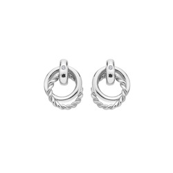 Obrázek č. 1 k produktu: Stříbrné náušnice Hot Diamonds Willow DE805