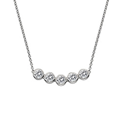 Stříbrný náhrdelník Hot Diamonds Willow DN129