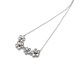 Obrázek č. 2 k produktu: Náhrdelník Hot Diamonds Forget me not RG DN140