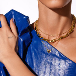 Obrázek č. 1 k produktu: Pozlacený náhrdelník Hot Diamonds X Gemstones s Tygřím okem DN201