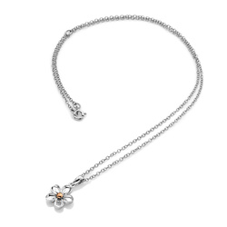 Obrázek č. 3 k produktu: Přívěsek Hot Diamonds Forget me not RG DP749