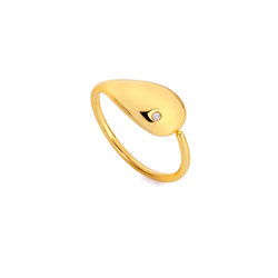 Obrázek č. 2 k produktu: Pozlacený prsten Hot Diamonds x Jac Jossa Soul DR282