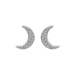 Stříbrné náušnice Hot Diamonds Crescent Micro Bliss DE553