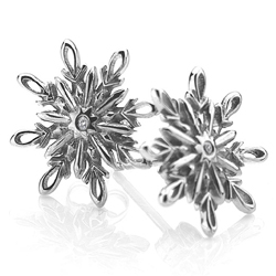 Obrázek č. 3 k produktu: Stříbrné náušnice Hot Diamonds Winter Wonderland Snowflake DE312