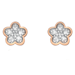 Stříbrné náušnice Hot Diamonds Stargazer CFlower Rose Gold