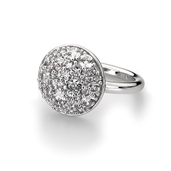 Obrázek č. 1 k produktu: Stříbrný prsten Hot Diamonds Emozioni Bouquet
